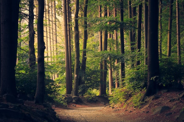 Natur & ro